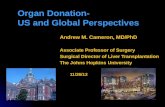 Andrew M. Cameron, MD/PhD Associate Professor of Surgery