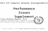 Performance Issues Supplement