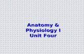 Anatomy & Physiology I Unit Four