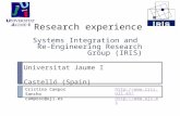 Research experience  Systems Integration and  Re-Engineering Research Group (IRIS)