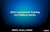 2012  Component  Training Ivy Platform Series