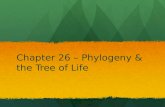 Chapter 26 – Phylogeny & the Tree of Life
