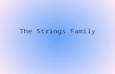 The Strings Family