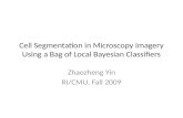 Cell Segmentation in Microscopy Imagery Using a Bag  of  Local Bayesian Classifiers