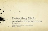 Detecting DNA-protein Interactions