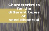 Characteristics for the different types of  seed dispersal