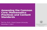 Assessing the Common  Core:  Mathematics Practices and Content Standards