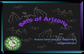 Bats of Arizona