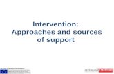 Intervention:  Approaches and sources of support