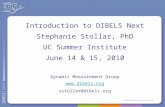 Introduction to DIBELS Next Stephanie Stollar, PhD UC Summer Institute June 14 & 15, 2010