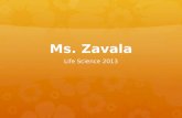 Ms. Zavala