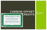Carbon Offset credits