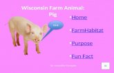 Wisconsin Farm Animal: Pig