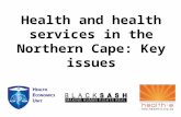 Health and health services in the Northern Cape: Key issues