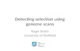Detecting selection using genome scans