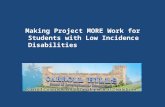 Making Project MORE Work for Students with Low Incidence Disabilities