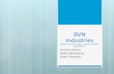 BVN Industries Where the best quality, creates the best experience!