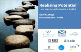 Realising Potential  next steps for social enterprise in Scotland David  LePage