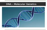 DNA – Molecular Genetics