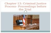 Chapter 13: Criminal Justice Process- Proceedings before the Trial