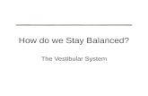 How do we Stay Balanced?