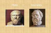 Plato       /          Socrates