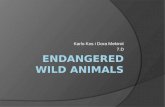 ENDANGERED WILD ANIMALS