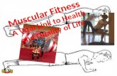 Muscular Fitness : A Vital Link to Health  and Quality of Life