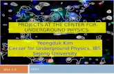 Dark  MAtters and  Neutrino Projects at  the Center for Underground Physics.