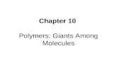 Chapter 10  Polymers: Giants Among Molecules