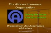The African Insurance Organisation