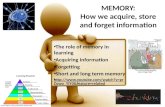 MEMORY: How we acquire, store and forget information