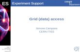 Grid  (data)  access