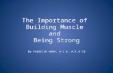 The Importance of  Building Muscle  and  Being Strong By Fredrick Hahn, A.C.E, A.K.A CN