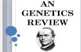 Mendelian Genetics Review