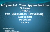 Polynomial Time Approximation Scheme (PTAS) for Euclidian Traveling  Salesman Problem (TSP)