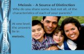 Meiosis – A Source of Distinction