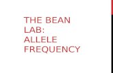 The Bean Lab: Allele Frequency
