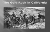 The Gold Rush in  California