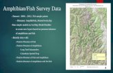 Amphibian/Fish Survey Data