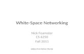 White-Space Networking