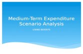 Medium-Term Expenditure Scenario Analysis