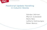 Positional Update Handling in Column Stores