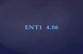 ENT1  4.06
