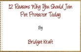 ppt 2002 12 Reasons Why You Should Join Pet Protector Today