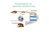 Presentation on genome sequencing