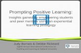 Prompting Positive Learning: