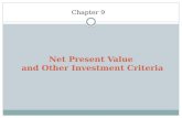 Net Present Value  and Other Investment Criteria