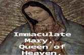 Immaculate Mary,  Queen of Heaven, Pray for Us.