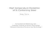 High temperature Oxidation of Si Containing Steel